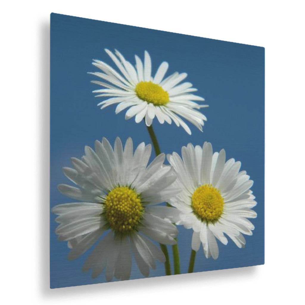 Daisies Vertical Metal