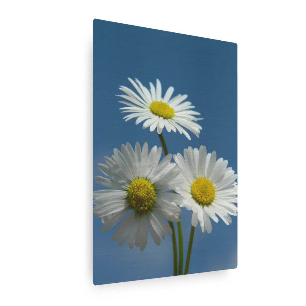 Daisies Vertical Metal